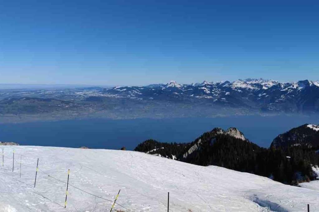 Studio Myrtilles Du Leman Vue Sur Lac Et Montagne Thollon-les-Memises Exterior photo