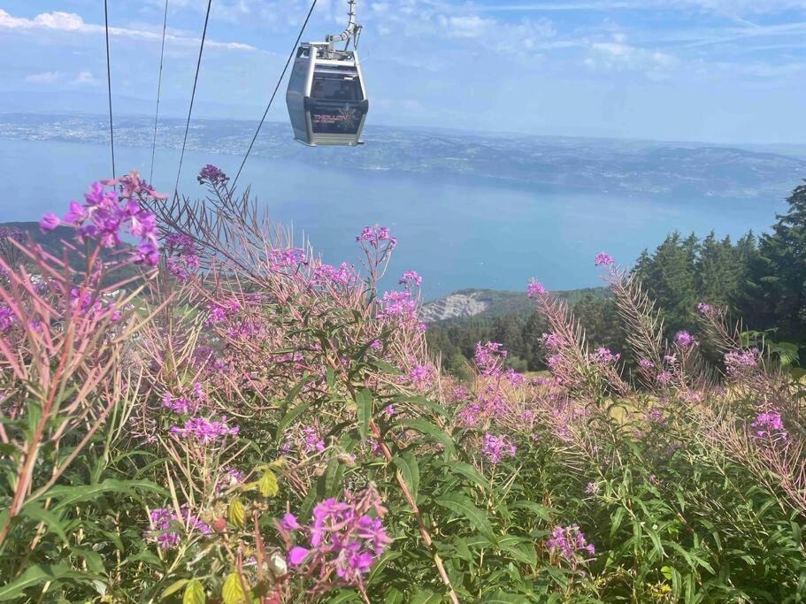 Studio Myrtilles Du Leman Vue Sur Lac Et Montagne Thollon-les-Memises Exterior photo