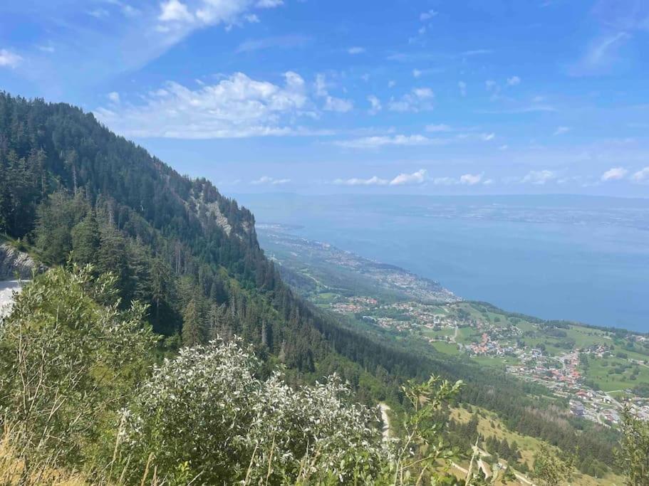 Studio Myrtilles Du Leman Vue Sur Lac Et Montagne Thollon-les-Memises Exterior photo